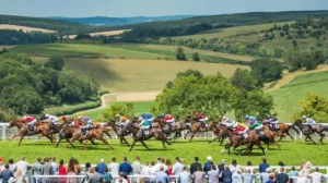 Lễ hội Qatar Goodwood 2025: Kỷ lục phát sóng toàn cầu mở ra cơ hội cá cược mới